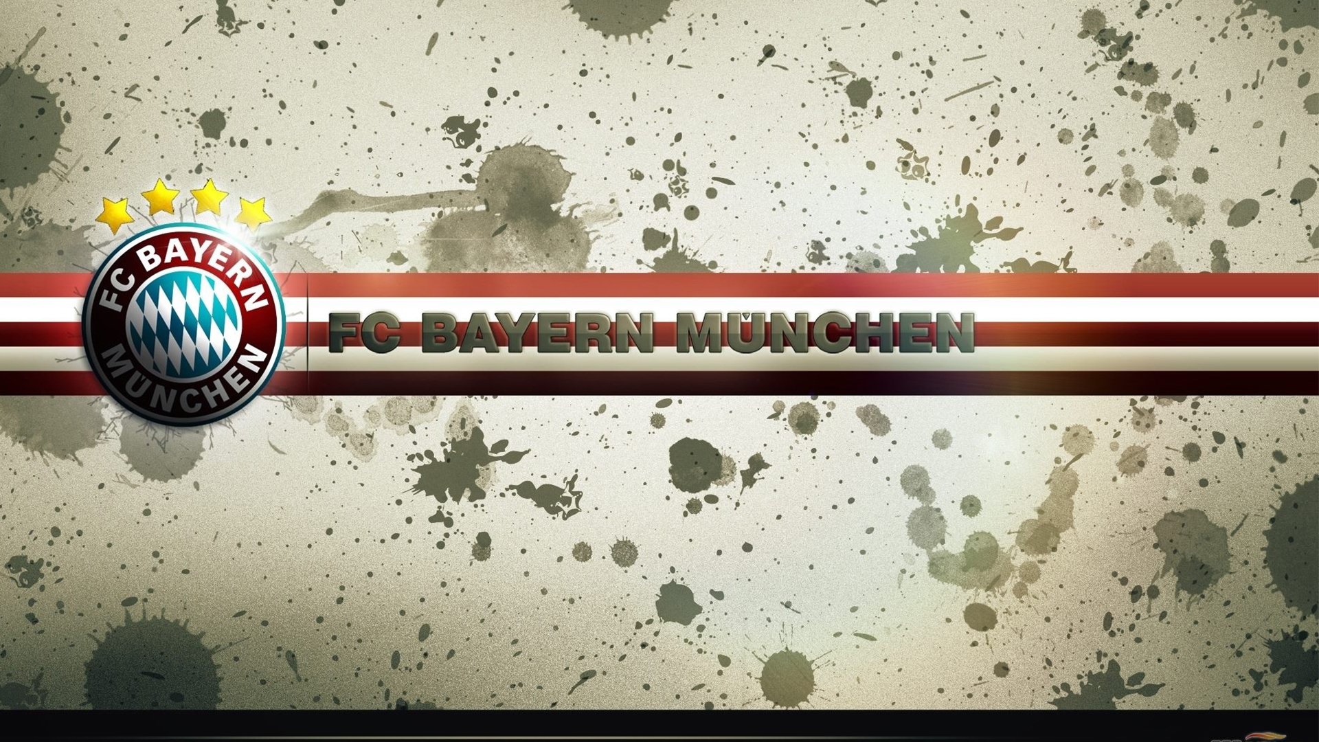 体育焦点报道权威分析上线，体肓新闻网